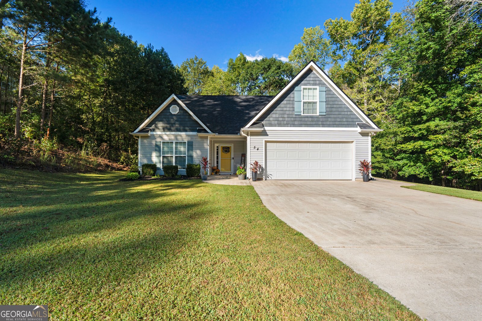 54 Farrington Drive Newnan - main photo