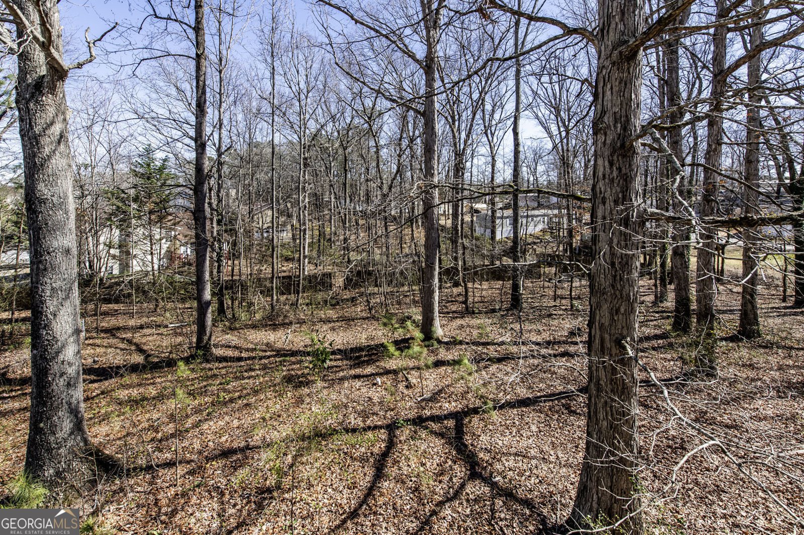 2192 Stenger Road Douglasville - Photo 36