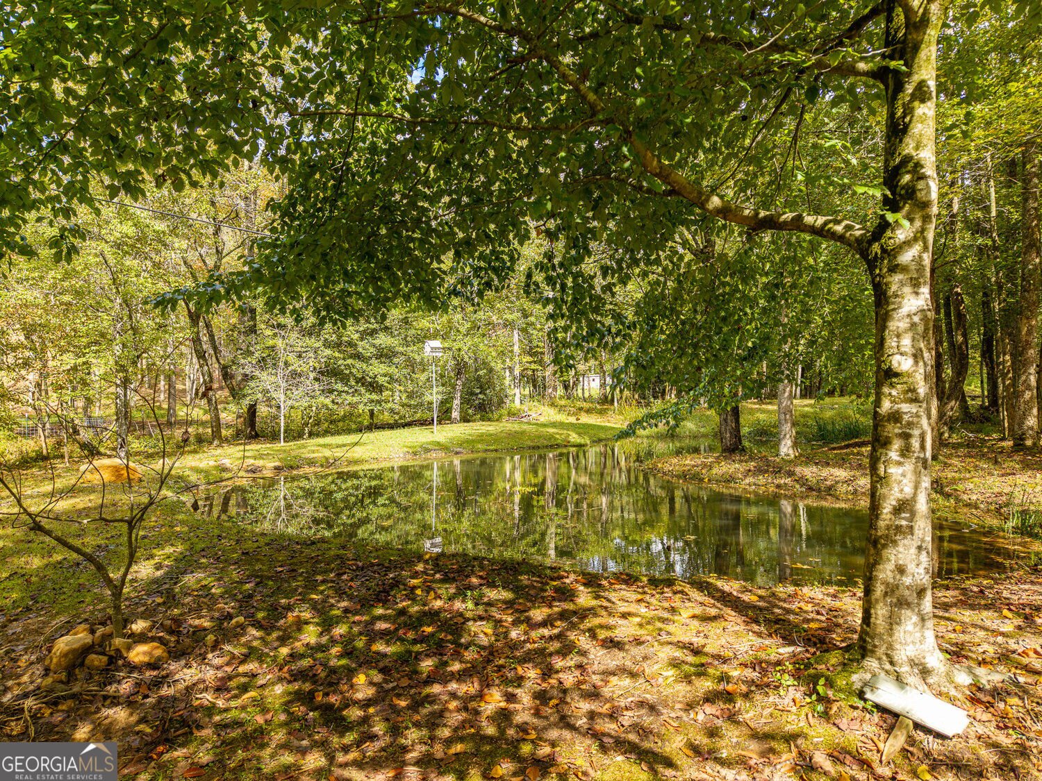 331 Rocky Hollow Road Ellijay - Photo 13