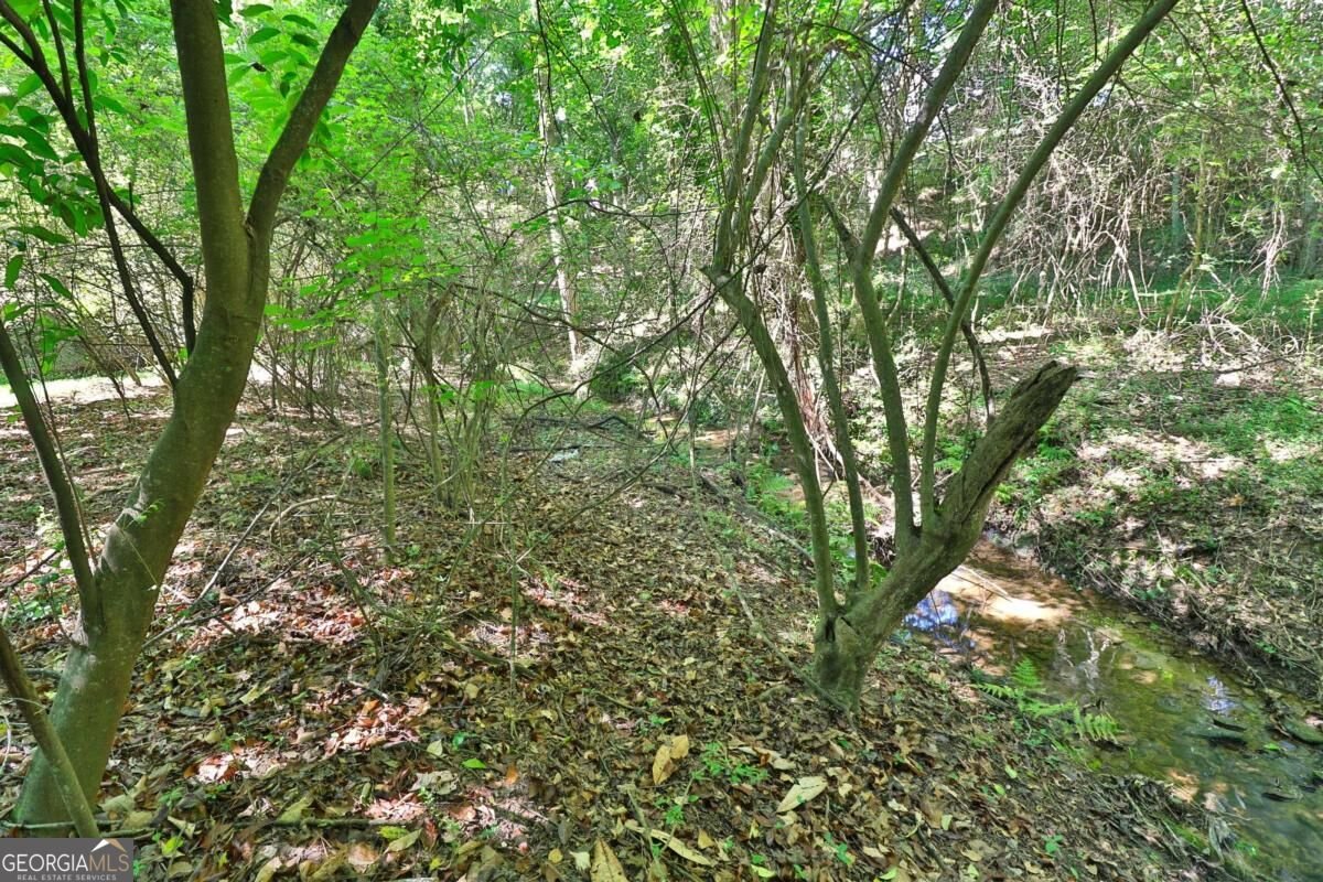 353 Fall View Court Winder - Photo 60