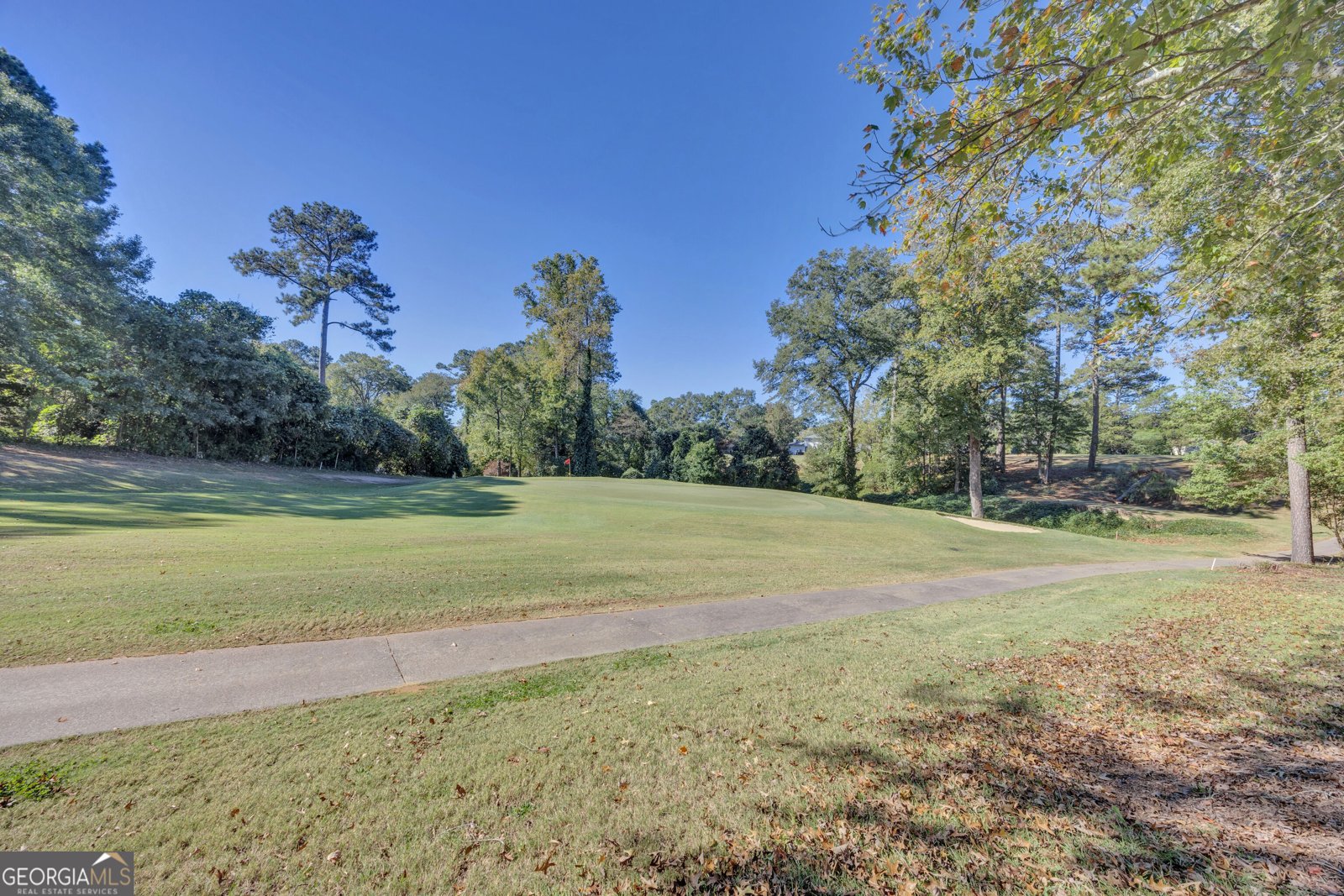 675 Sweet Fern Court Conyers - Photo 14