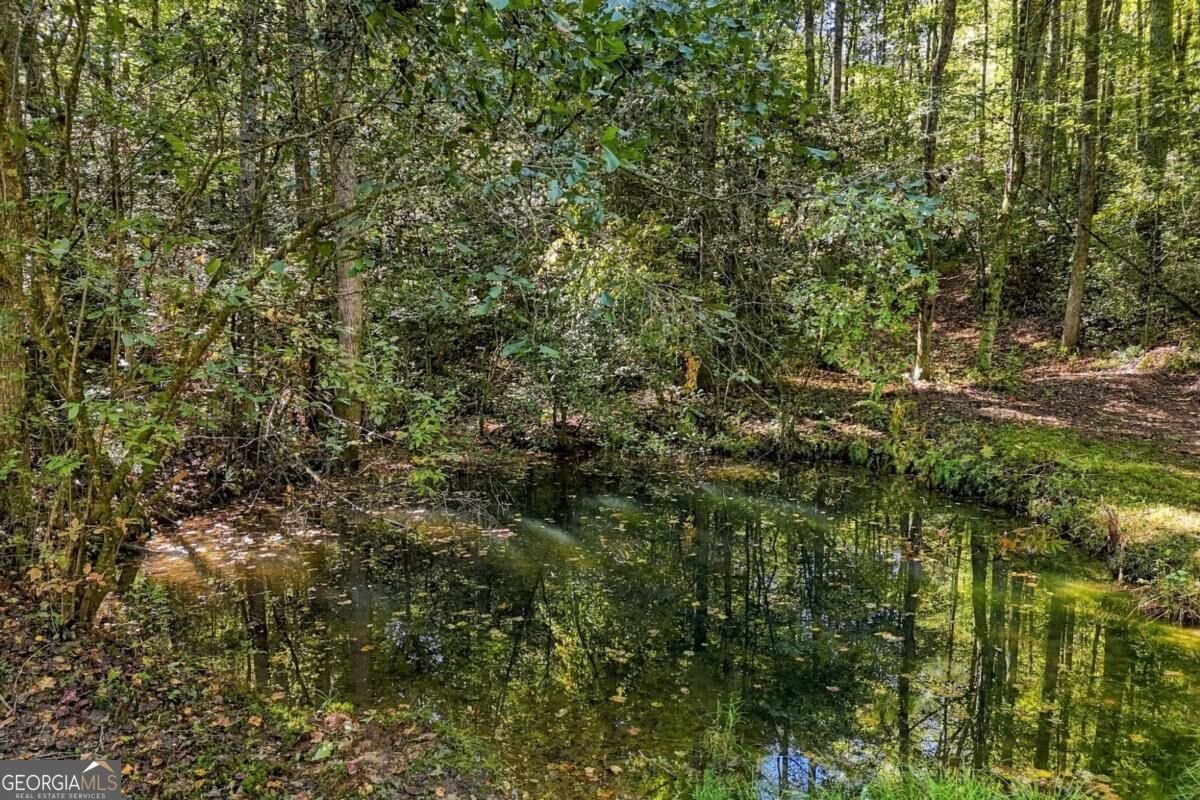 108 Charlottes Web Lane Ellijay - Photo 10