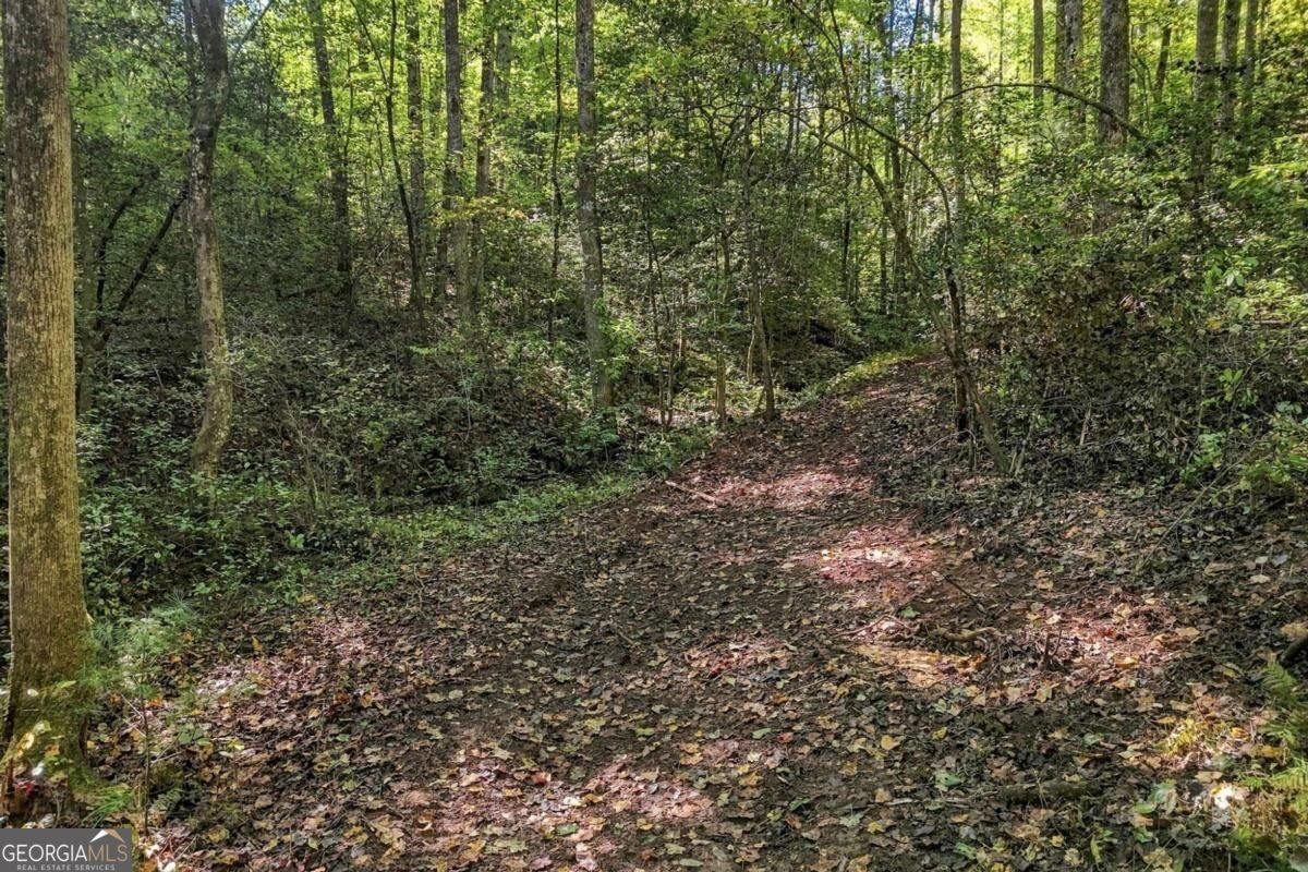 108 Charlottes Web Lane Ellijay - Photo 11