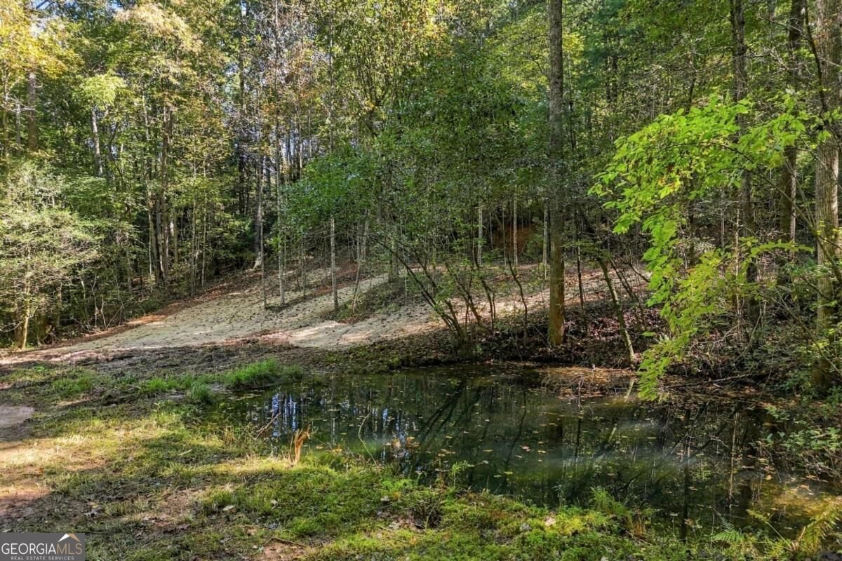 108 Charlottes Web Lane Ellijay - Photo 12
