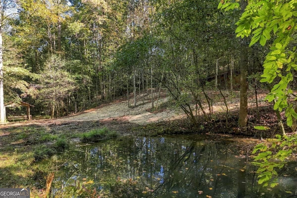 108 Charlottes Web Lane Ellijay - Photo 13