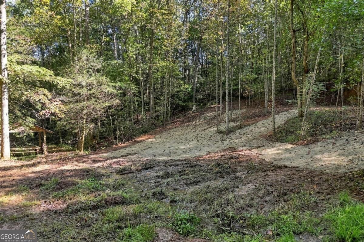 108 Charlottes Web Lane Ellijay - Photo 14