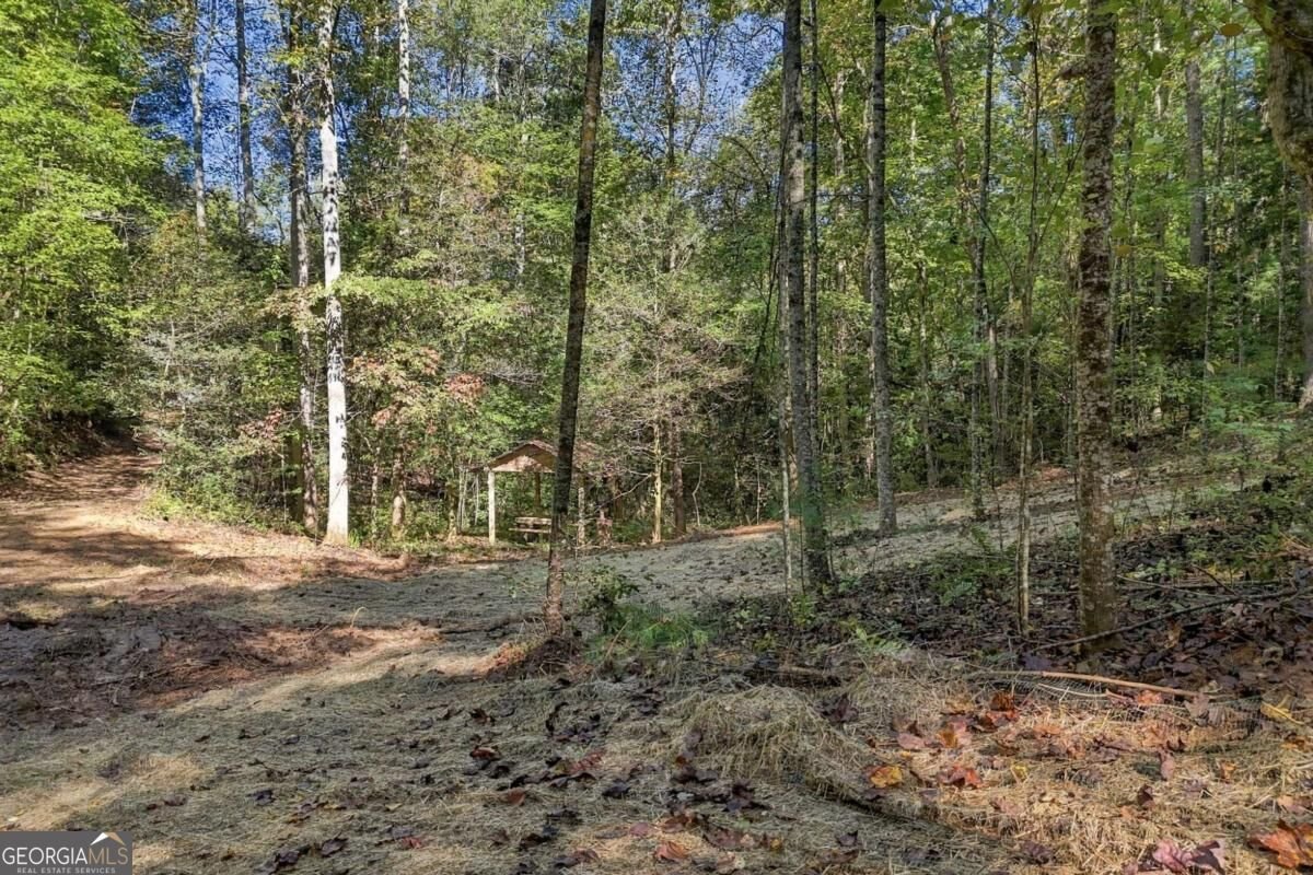108 Charlottes Web Lane Ellijay - Photo 15