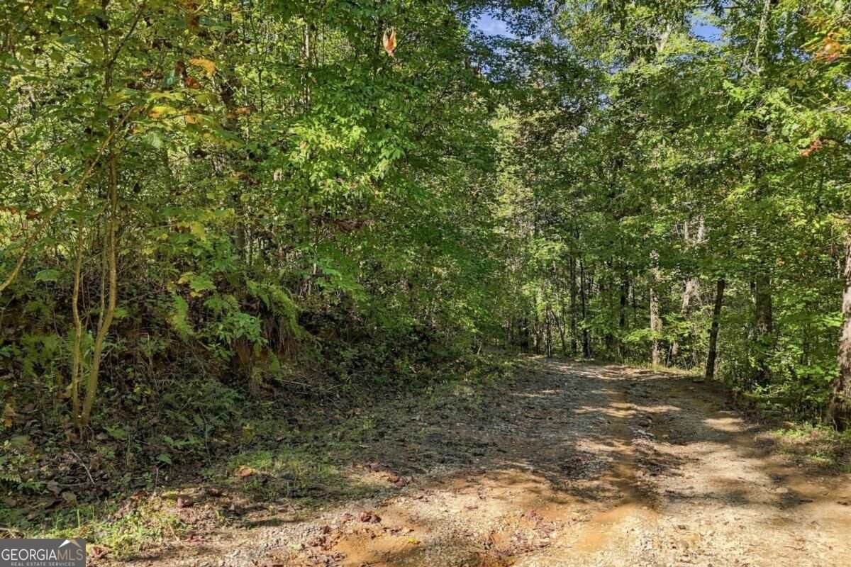 108 Charlottes Web Lane Ellijay - Photo 25