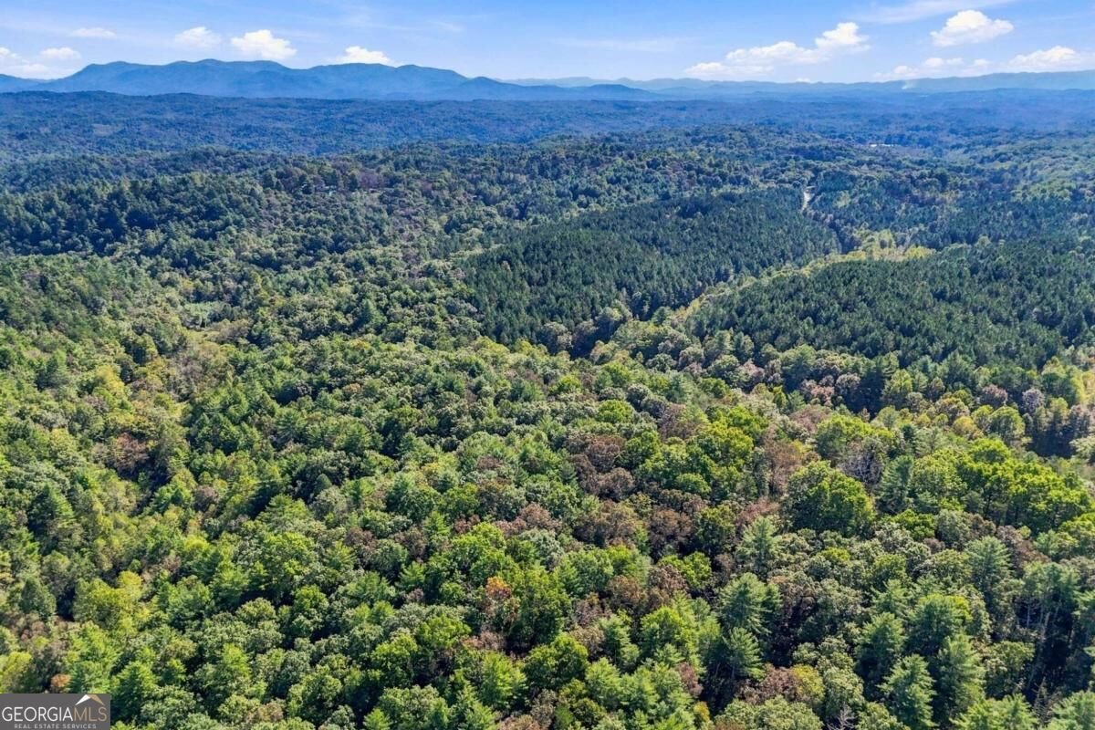 108 Charlottes Web Lane Ellijay - Photo 27