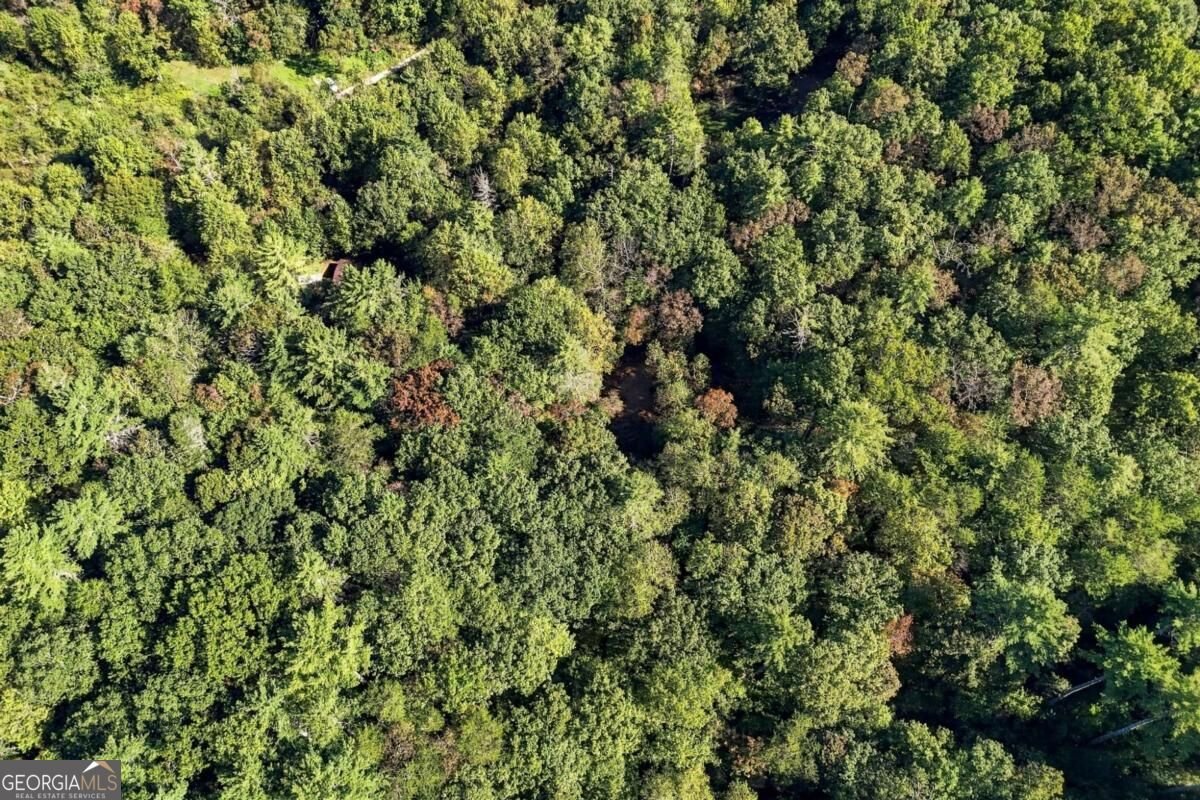 108 Charlottes Web Lane Ellijay - Photo 28