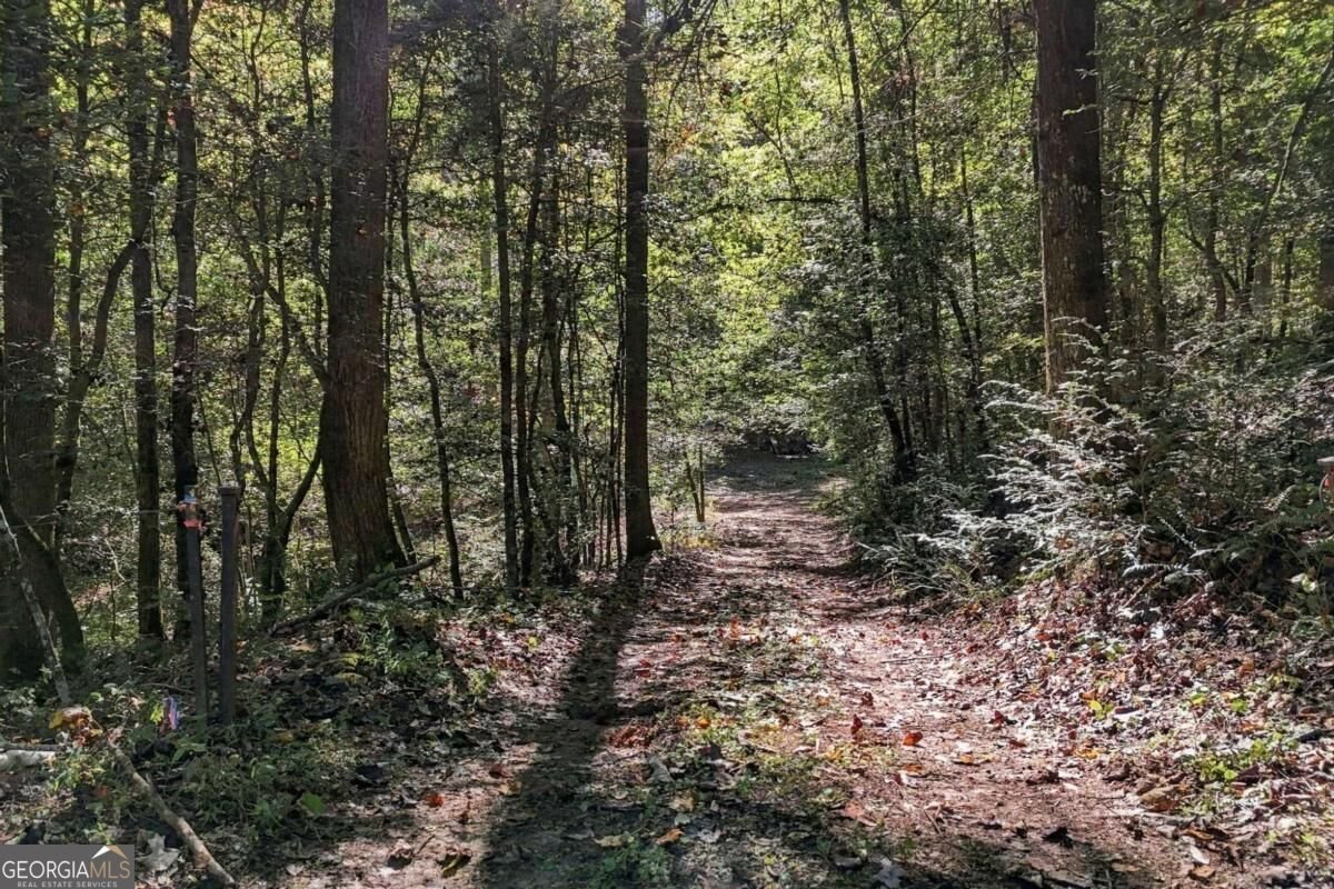 108 Charlottes Web Lane Ellijay - Photo 8