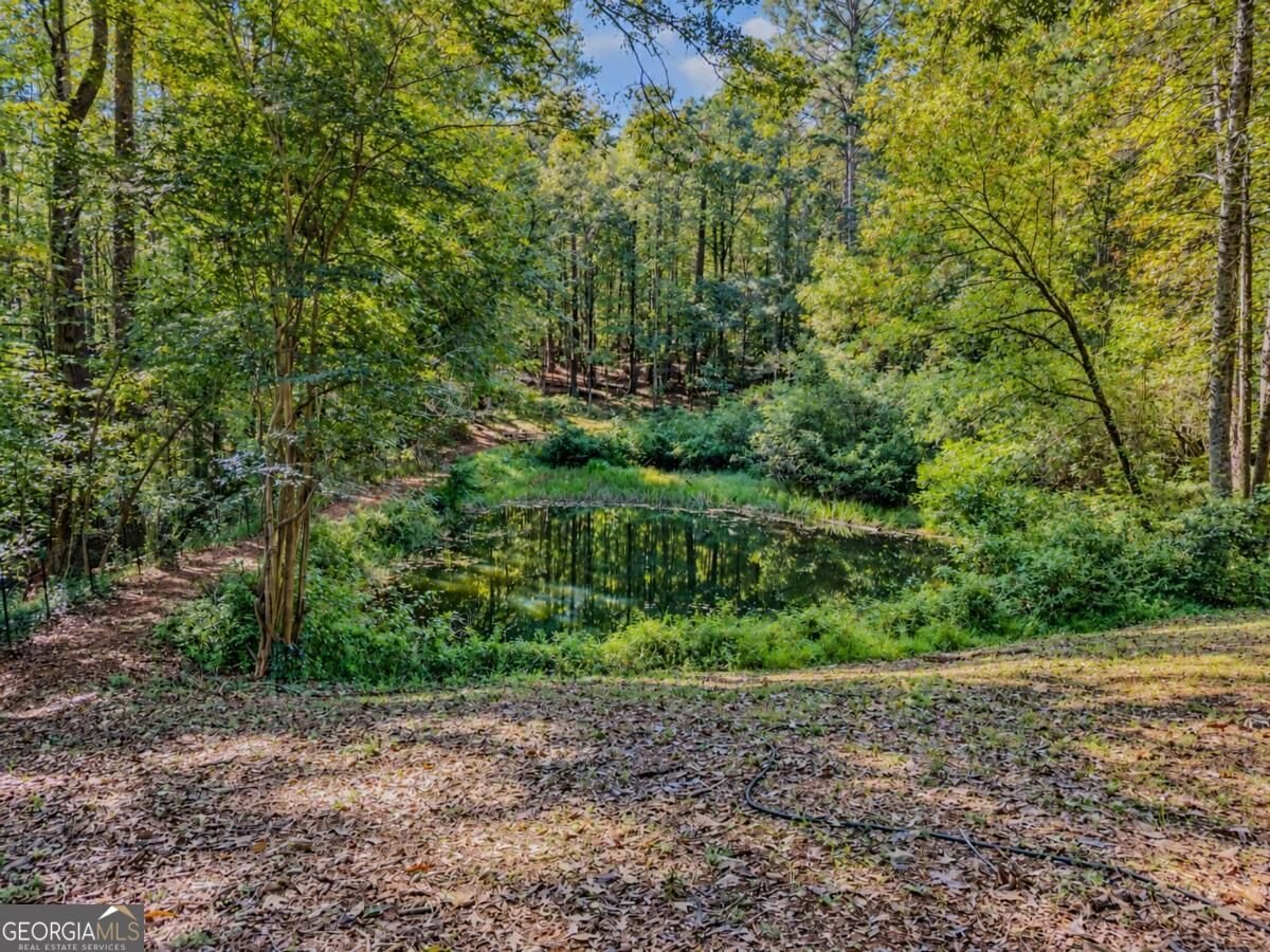 3184 Klondike Road Conyers - Photo 28