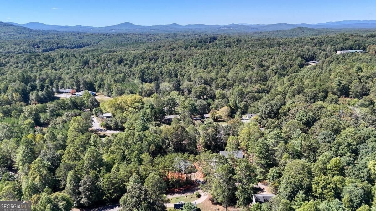 53 Tombstone Drive Blairsville - Photo 35