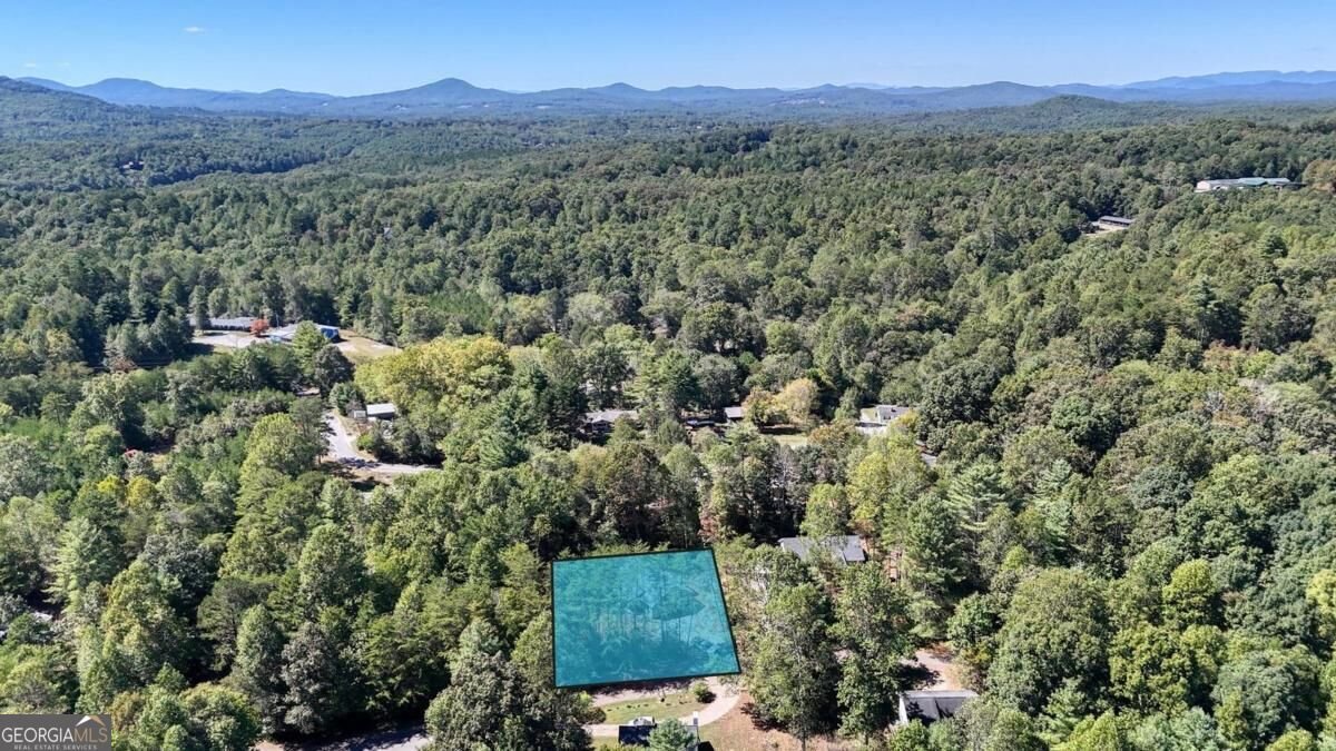 53 Tombstone Drive Blairsville - Photo 37