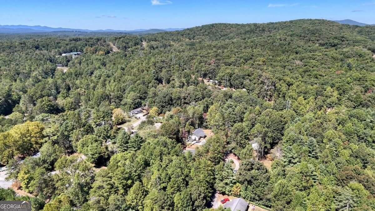 53 Tombstone Drive Blairsville - Photo 38