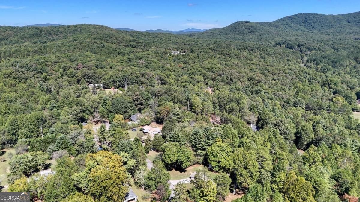 53 Tombstone Drive Blairsville - Photo 39