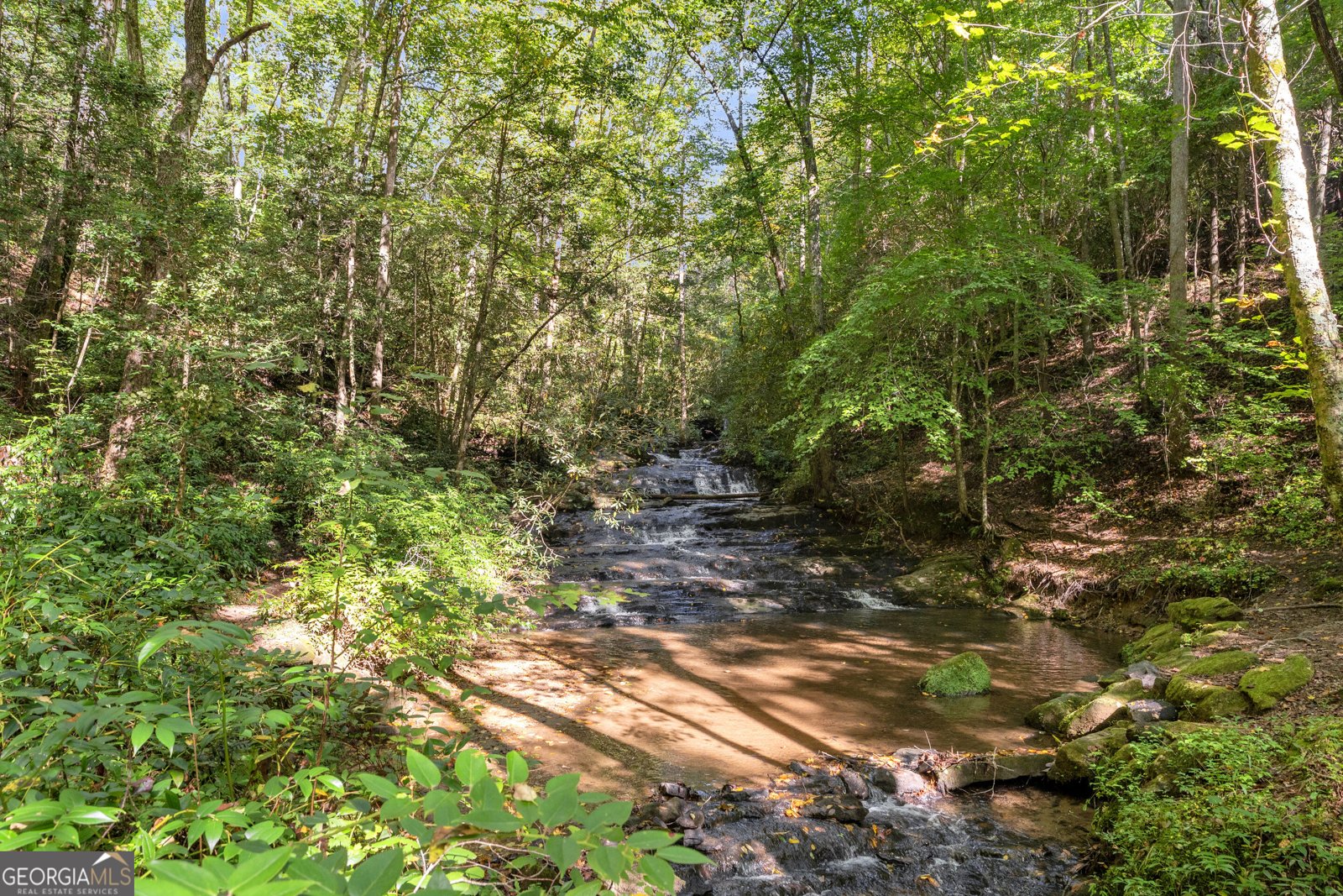 107 Hawks Nest Sautee Nacoochee - Photo 61