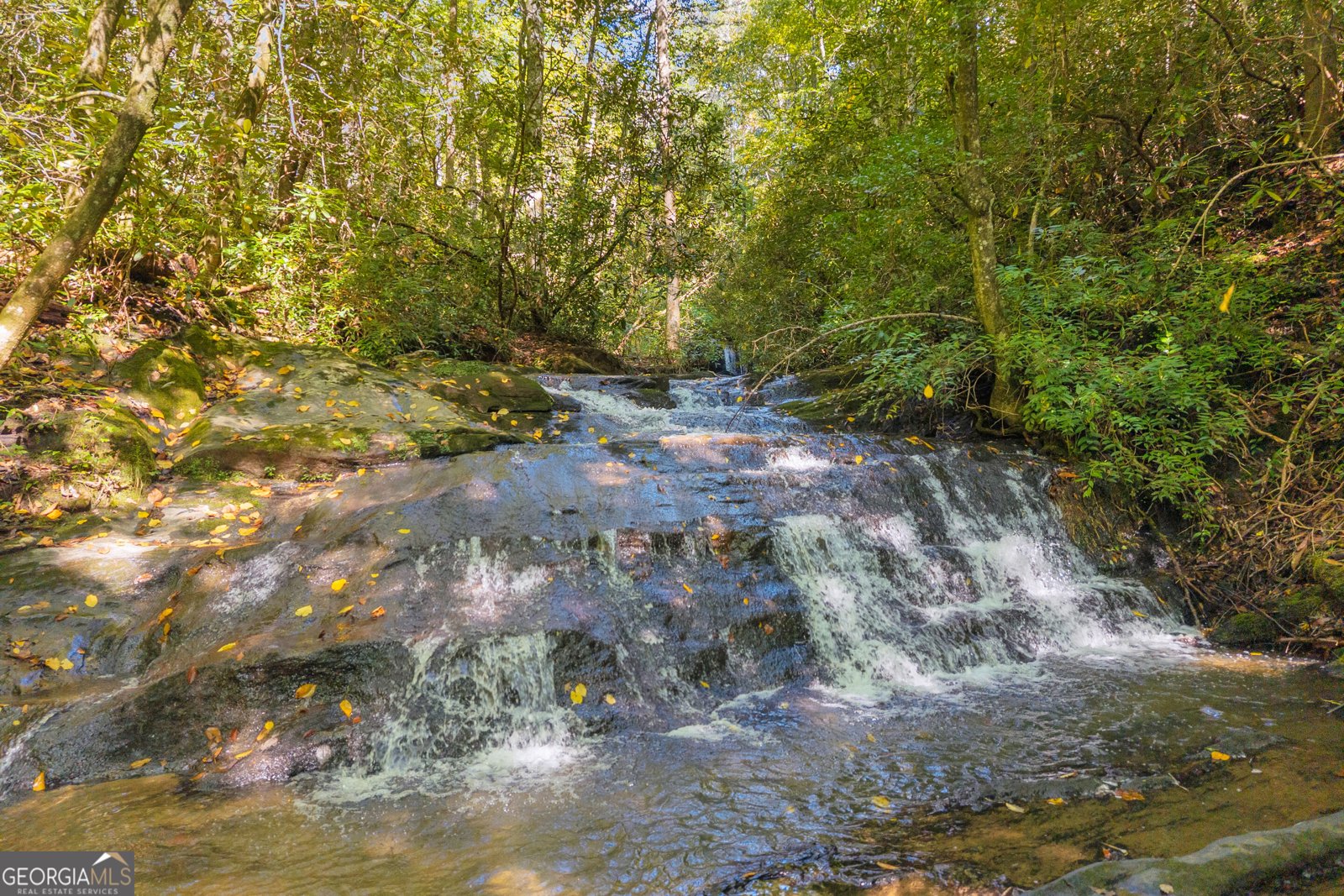 107 Hawks Nest Sautee Nacoochee - Photo 62