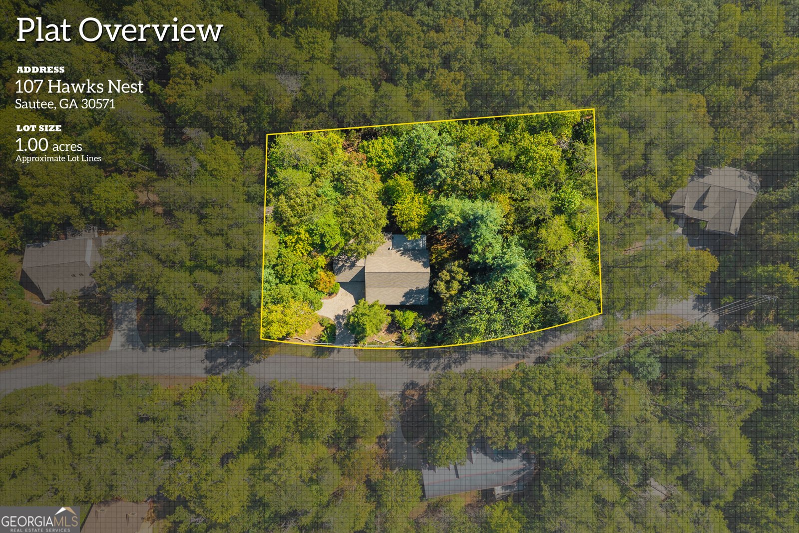 107 Hawks Nest Sautee Nacoochee - Photo 73