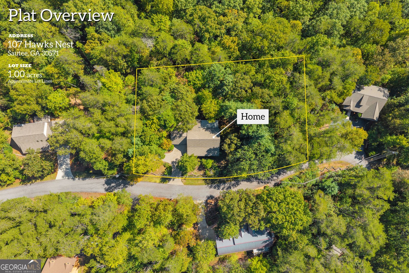 107 Hawks Nest Sautee Nacoochee - Photo 74