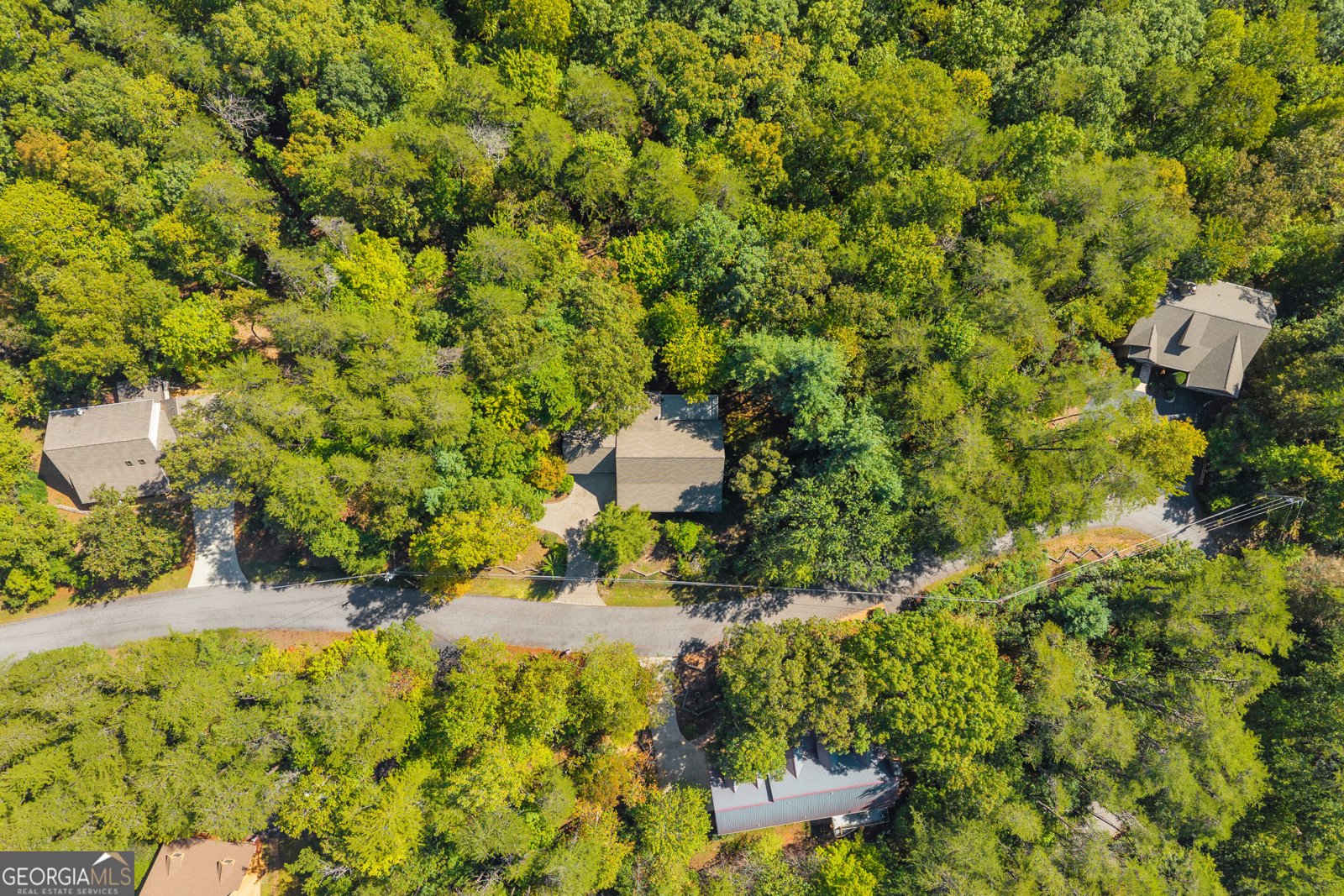 107 Hawks Nest Sautee Nacoochee - Photo 86