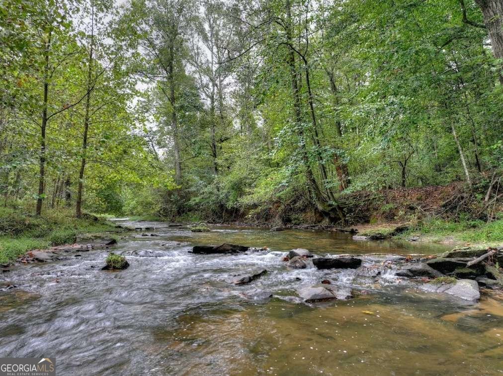 318 Misty Valley Lane Ellijay - Photo 39
