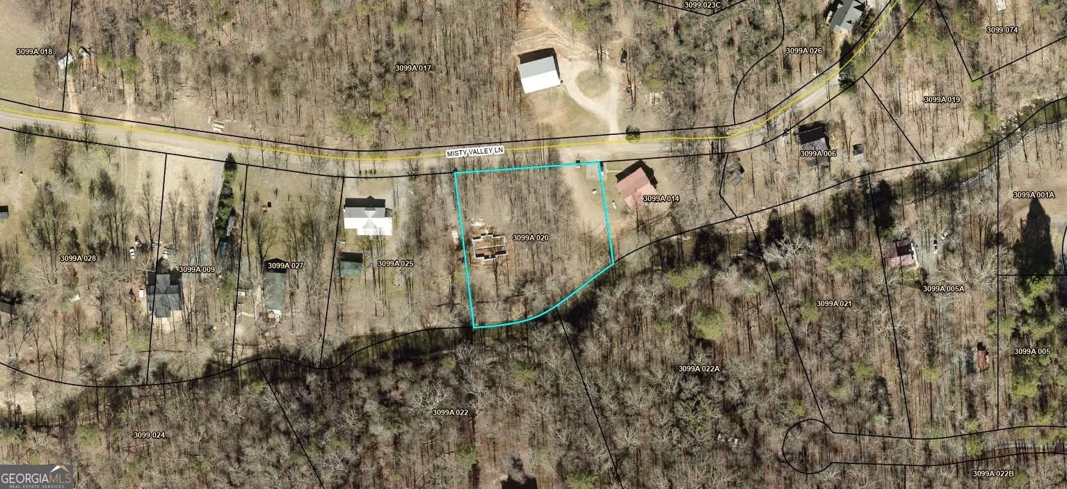 318 Misty Valley Lane Ellijay - Photo 72