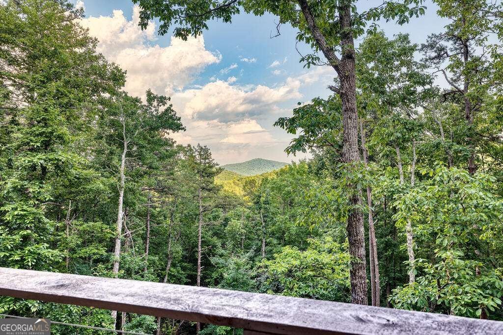 281 Raintree Bend Blue Ridge - Photo 10