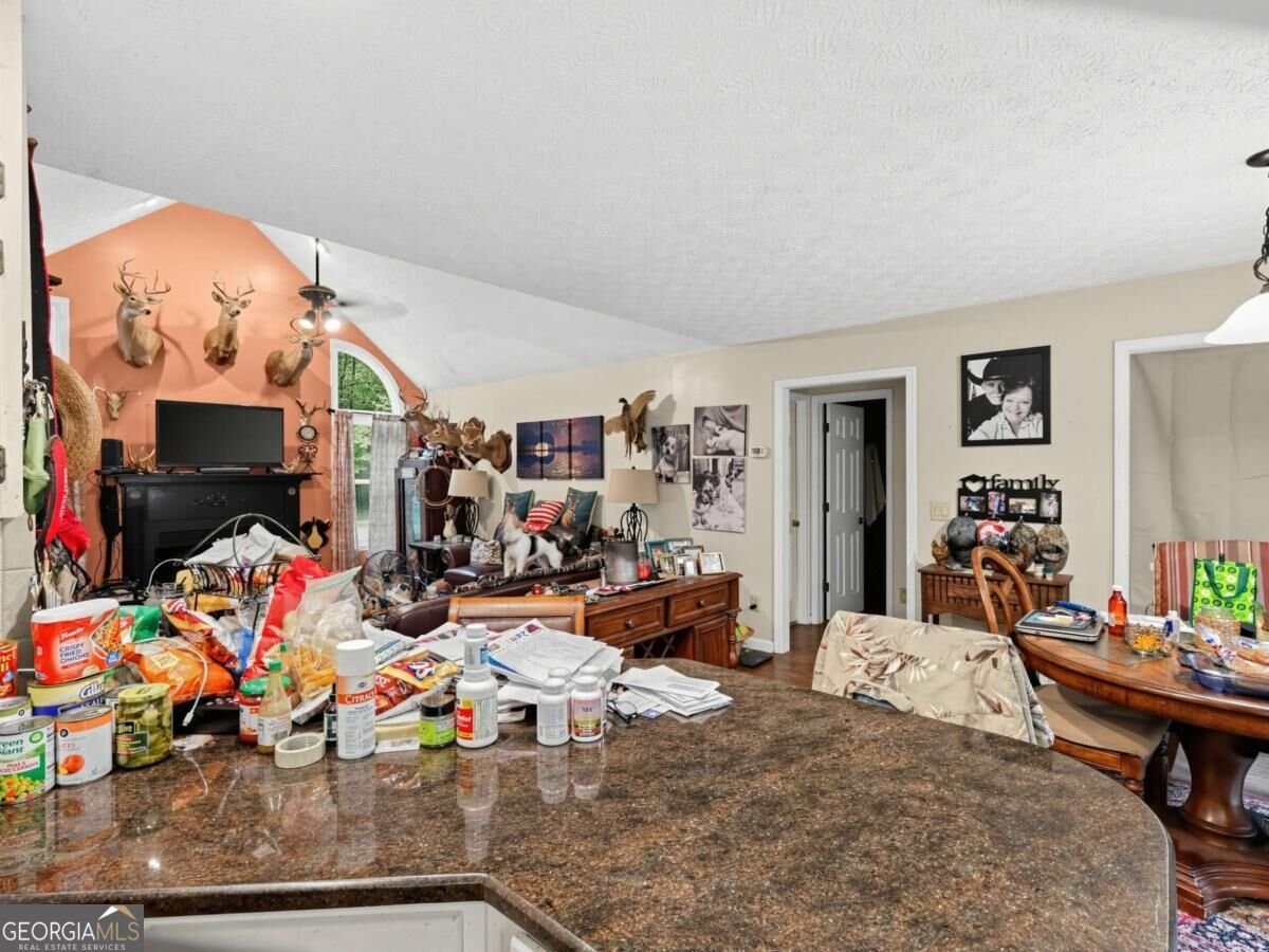 253 Timberridge Road Senoia - Photo 44