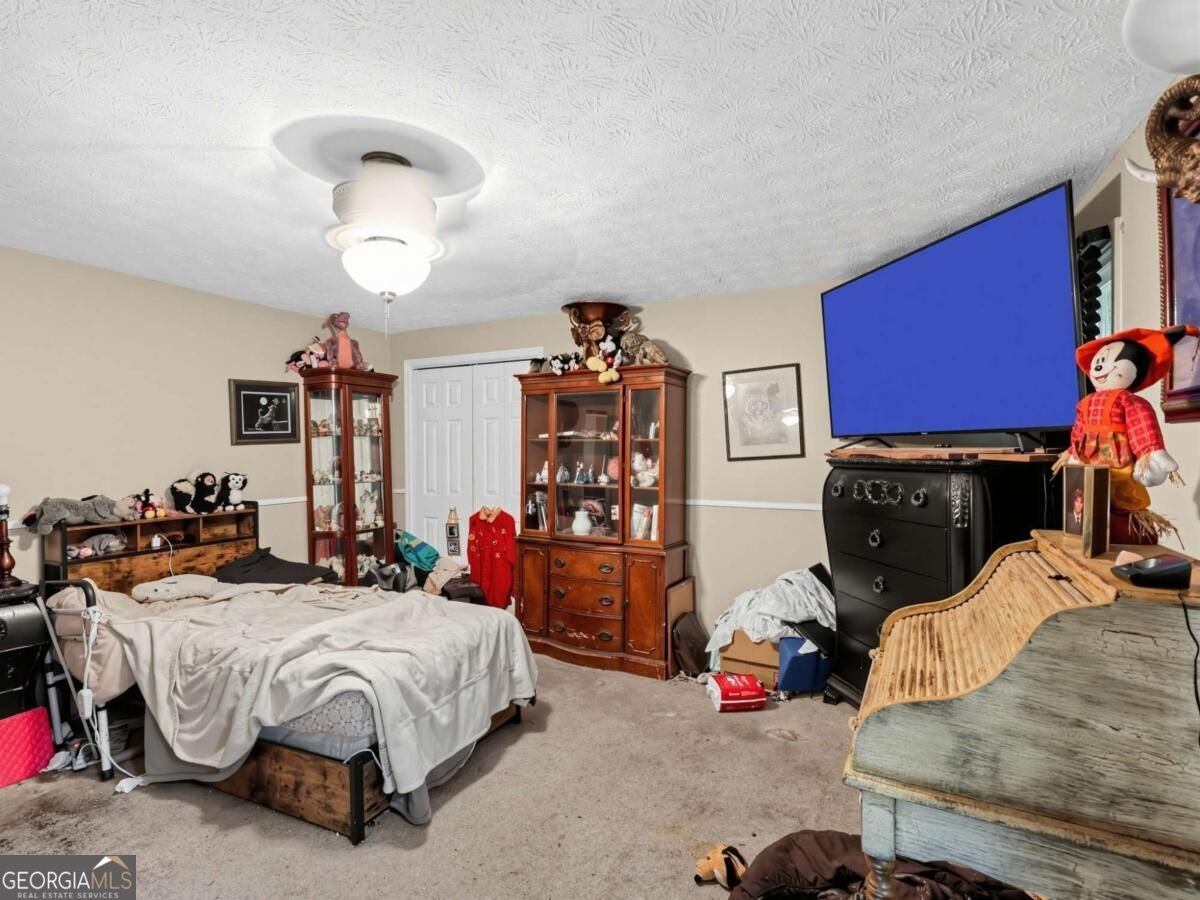 253 Timberridge Road Senoia - Photo 49