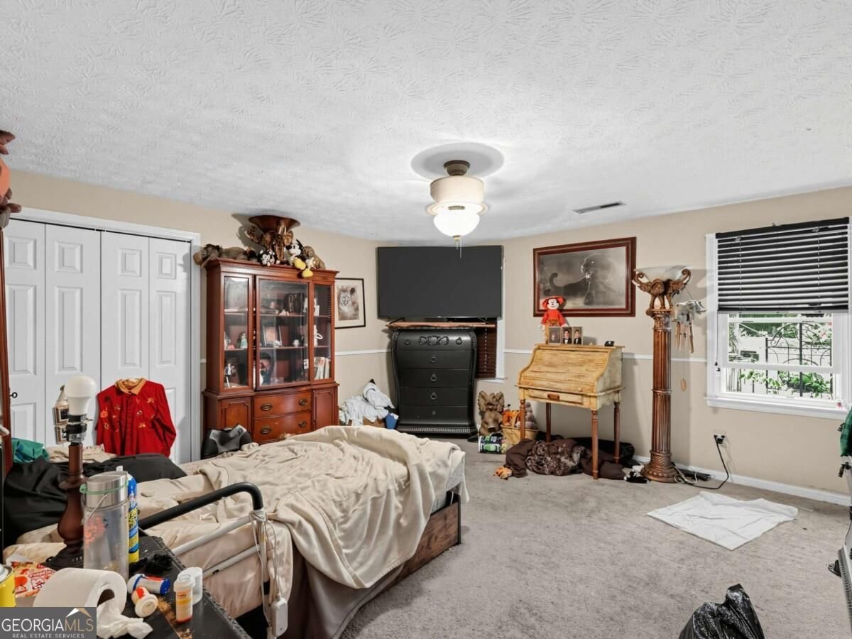 253 Timberridge Road Senoia - Photo 50