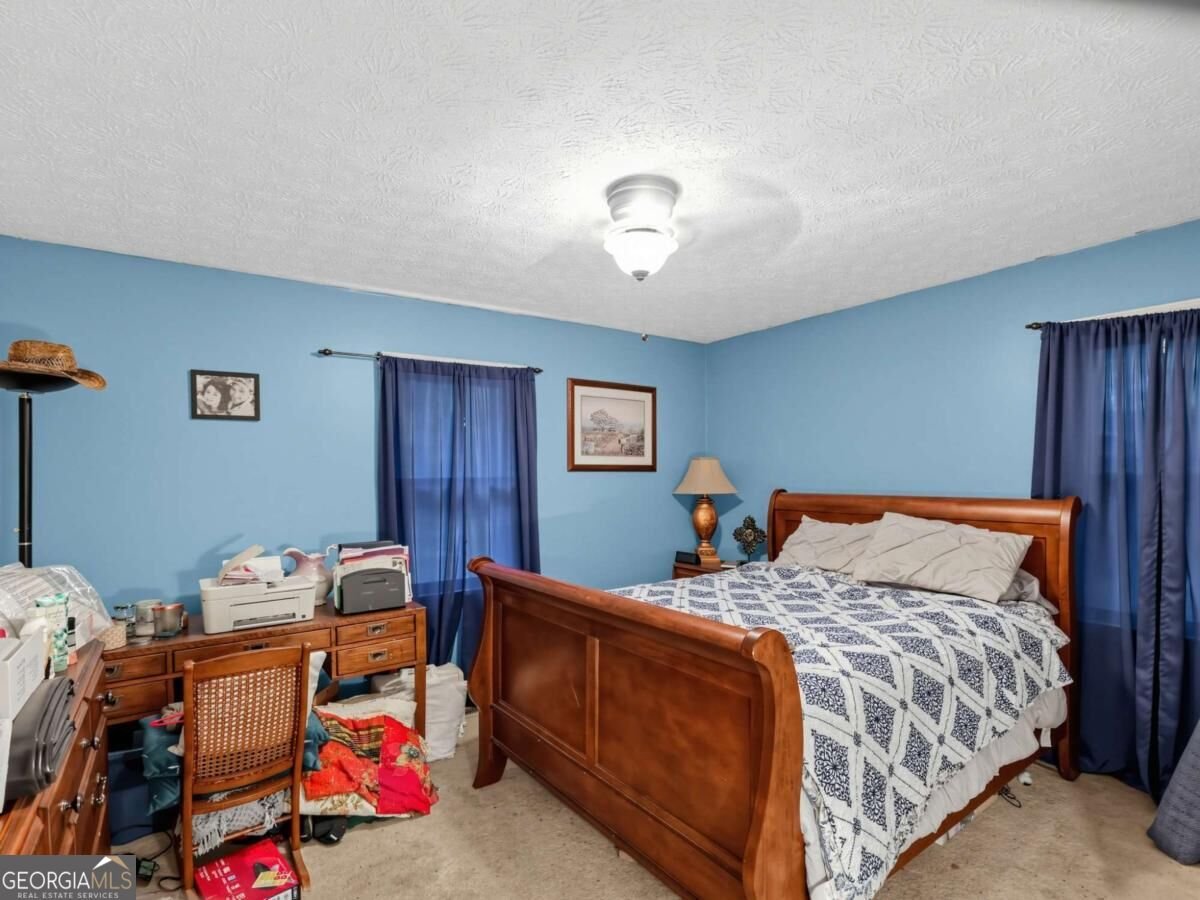 253 Timberridge Road Senoia - Photo 54