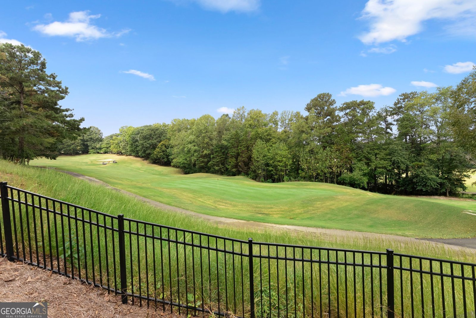 4405 Park Royal Drive Flowery Branch - Photo 57