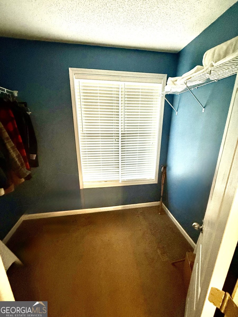 35 Wrightsburg Court Senoia - Photo 17
