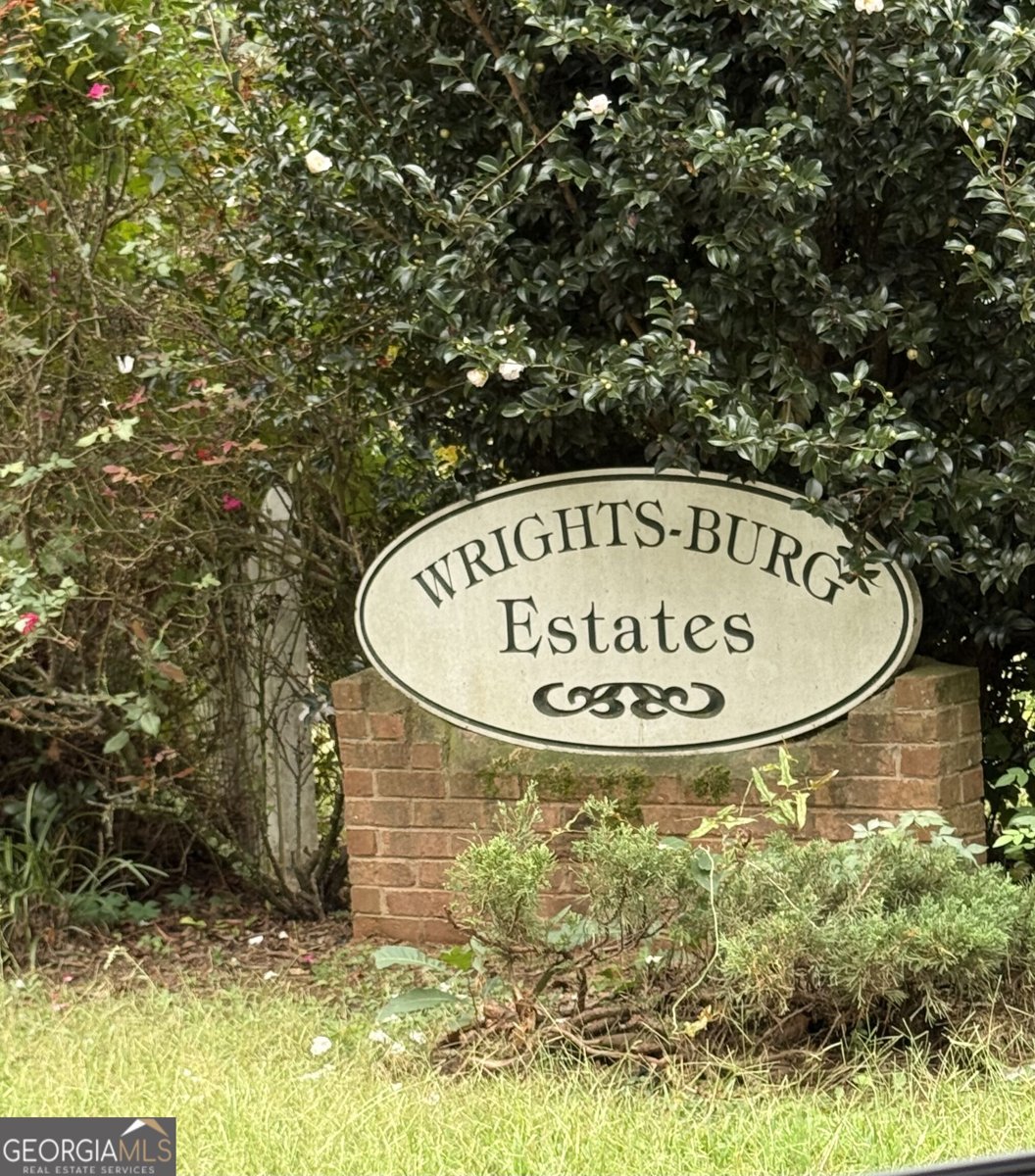 35 Wrightsburg Court Senoia - Photo 27
