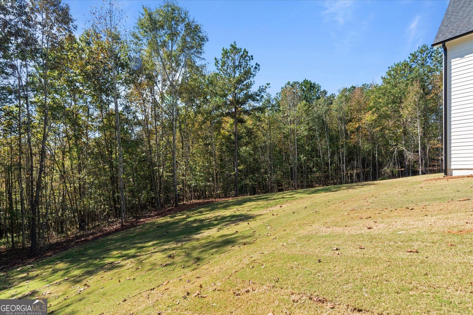 1425 Old Ridgeway Road Bremen - Photo 47