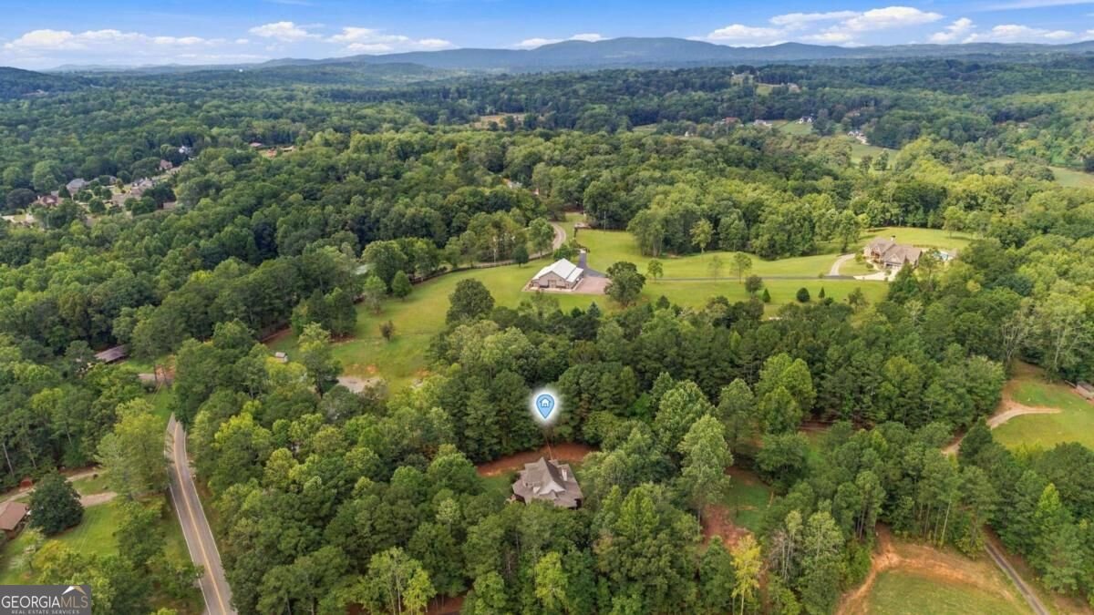 1655 Fate Conn Road Canton - Photo 40