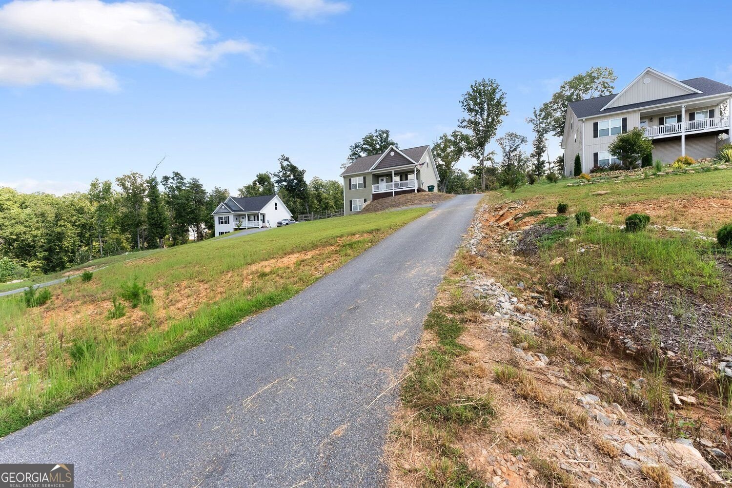 295 Silas Road Dahlonega - Photo 46