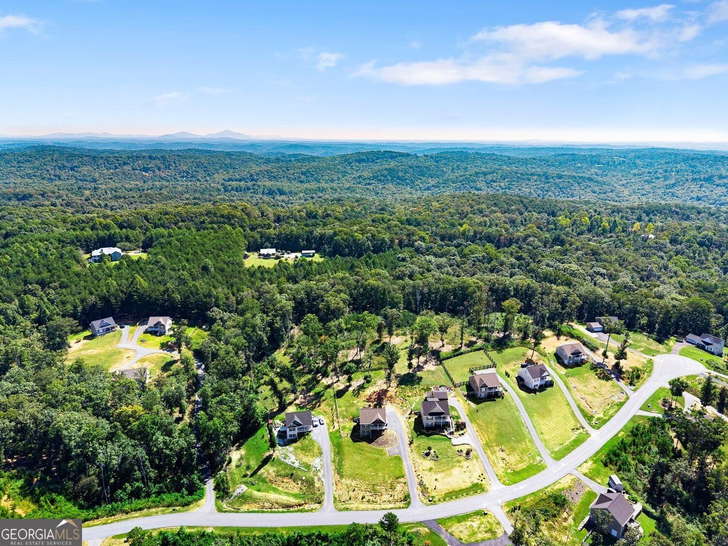 295 Silas Road Dahlonega - Photo 47