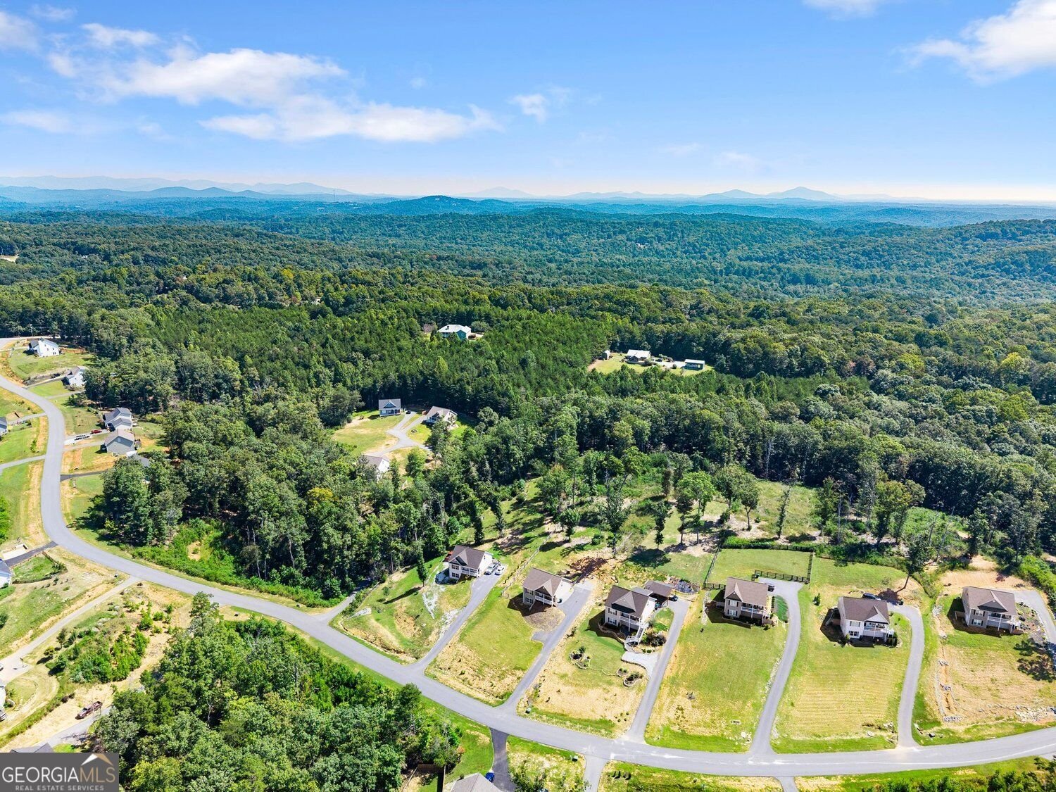 295 Silas Road Dahlonega - Photo 49