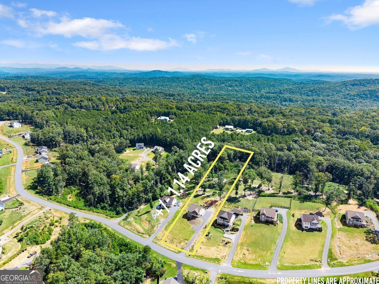 295 Silas Road Dahlonega - Photo 50
