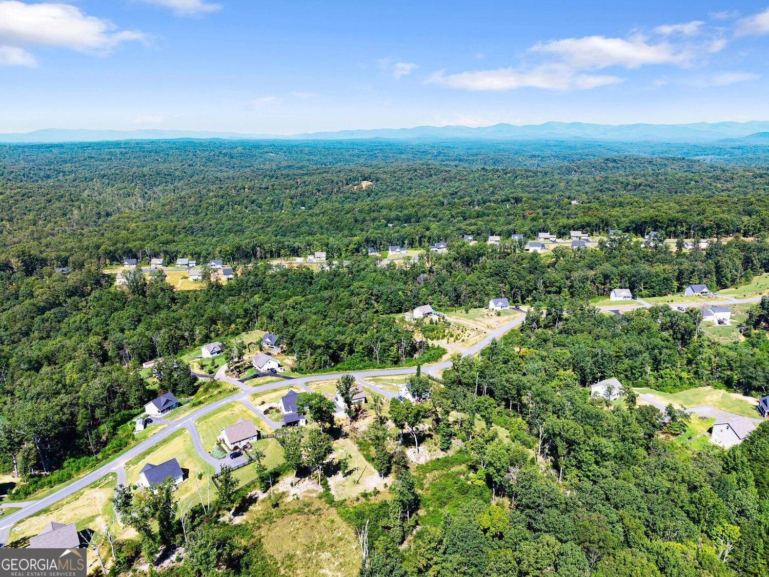 295 Silas Road Dahlonega - Photo 51