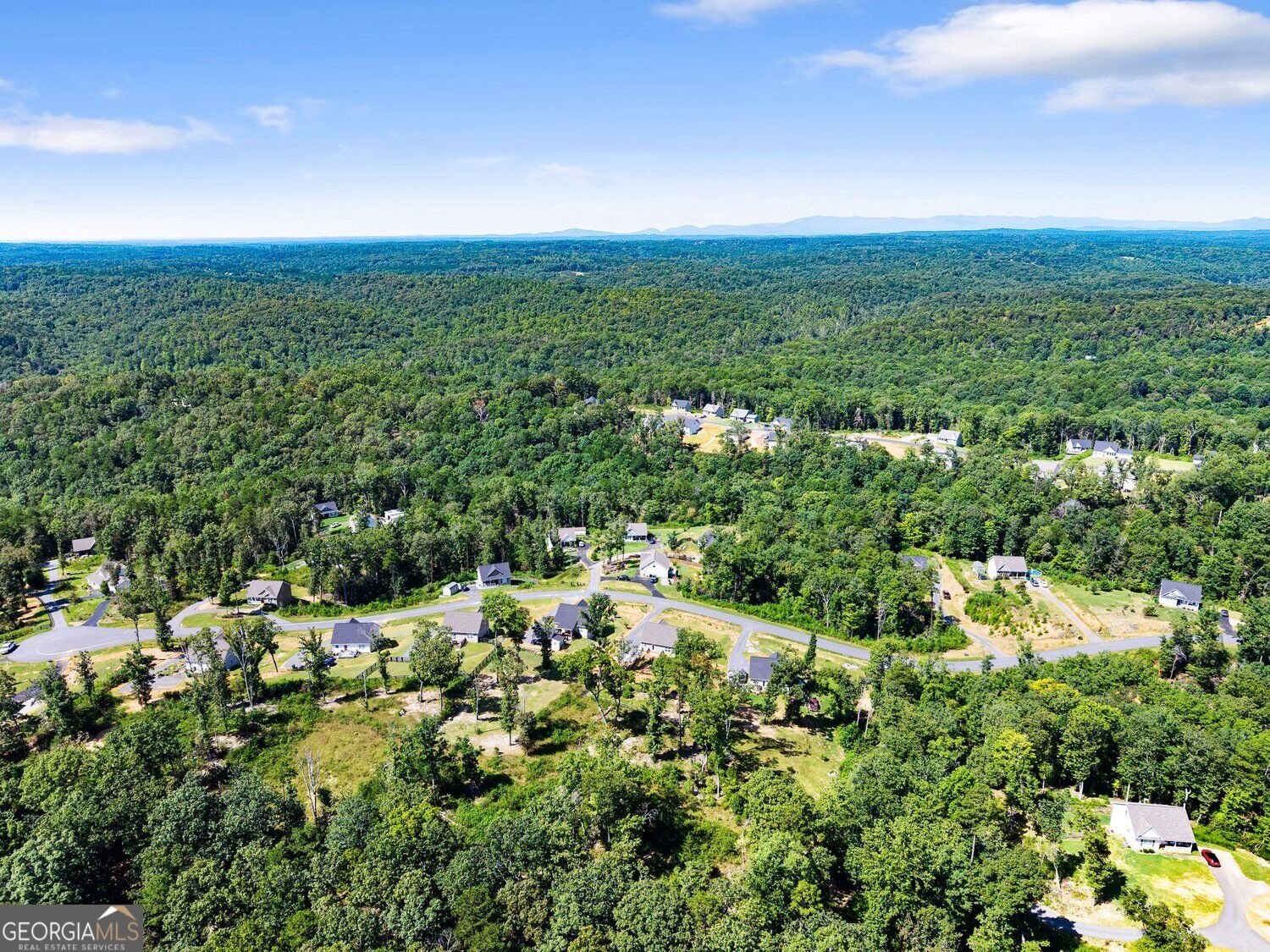 295 Silas Road Dahlonega - Photo 52