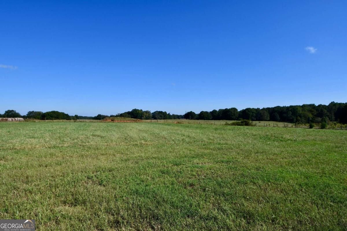 1522 Greene Ferry Road Watkinsville - Photo 43