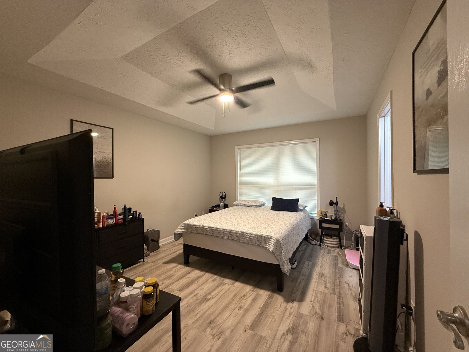 216 River Birch Drive Mcdonough - Photo 13