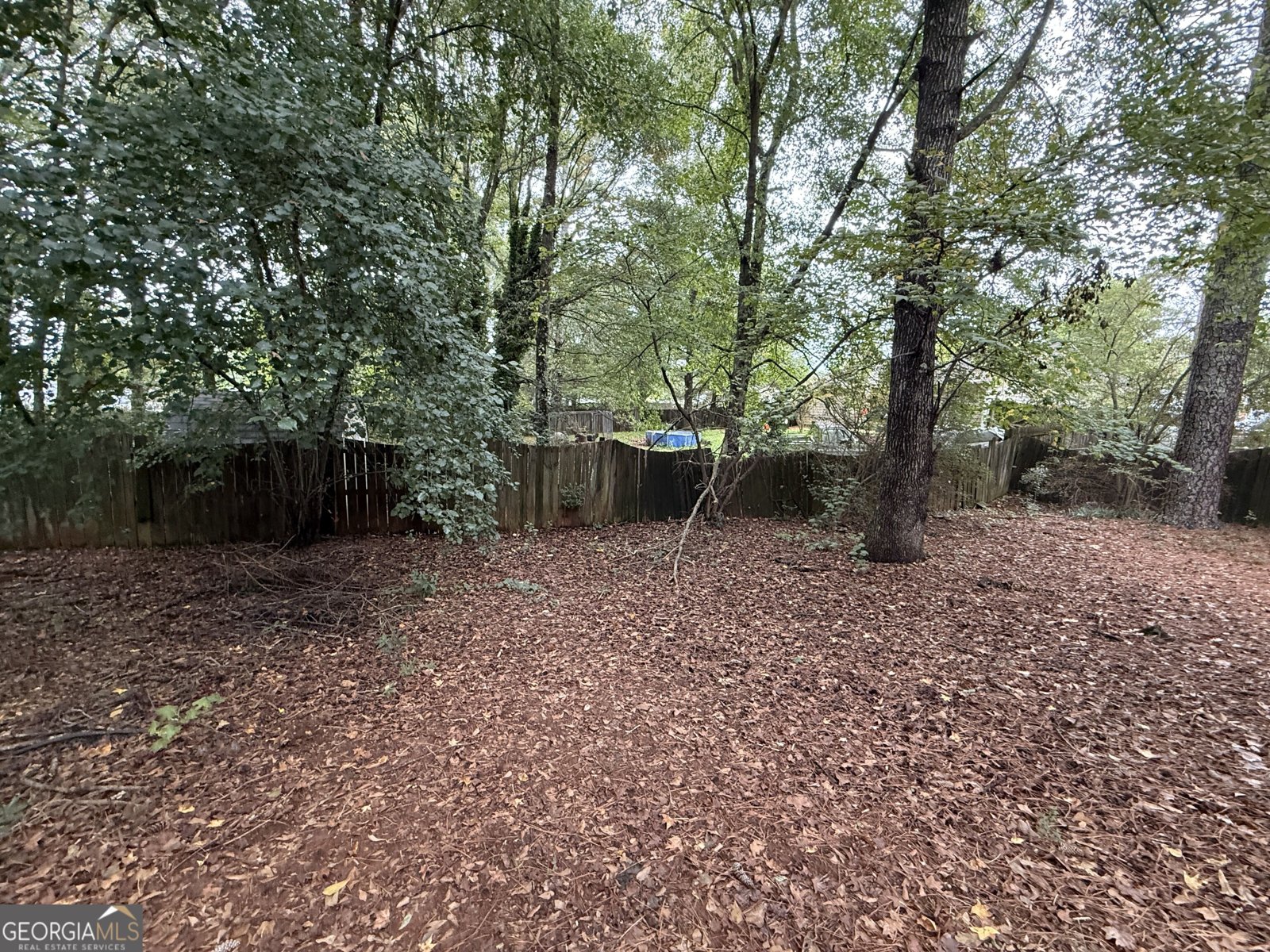 216 River Birch Drive Mcdonough - Photo 21
