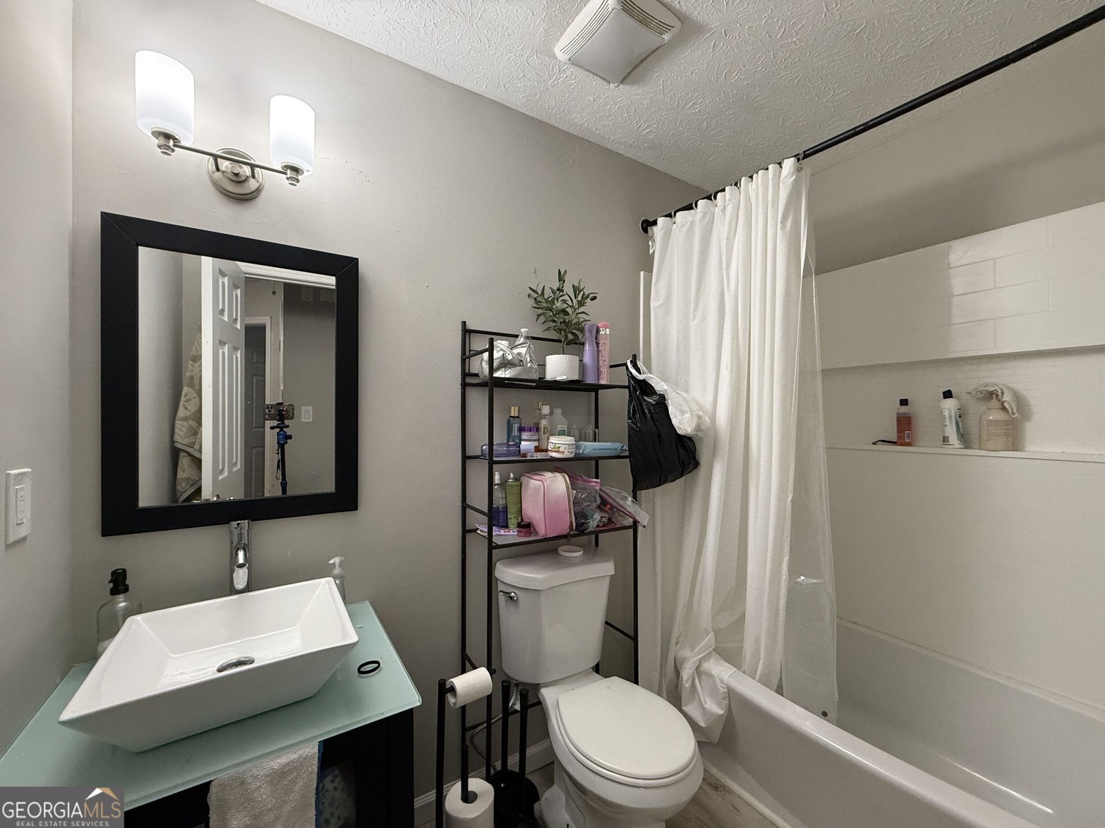 216 River Birch Drive Mcdonough - Photo 9