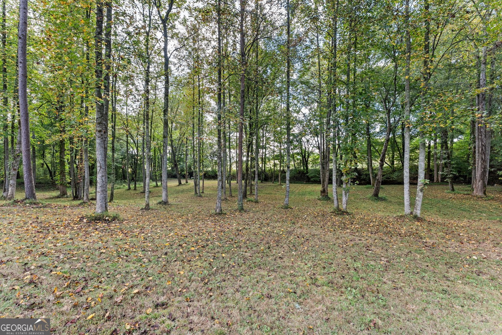 252 Yonah Way Blairsville - Photo 45