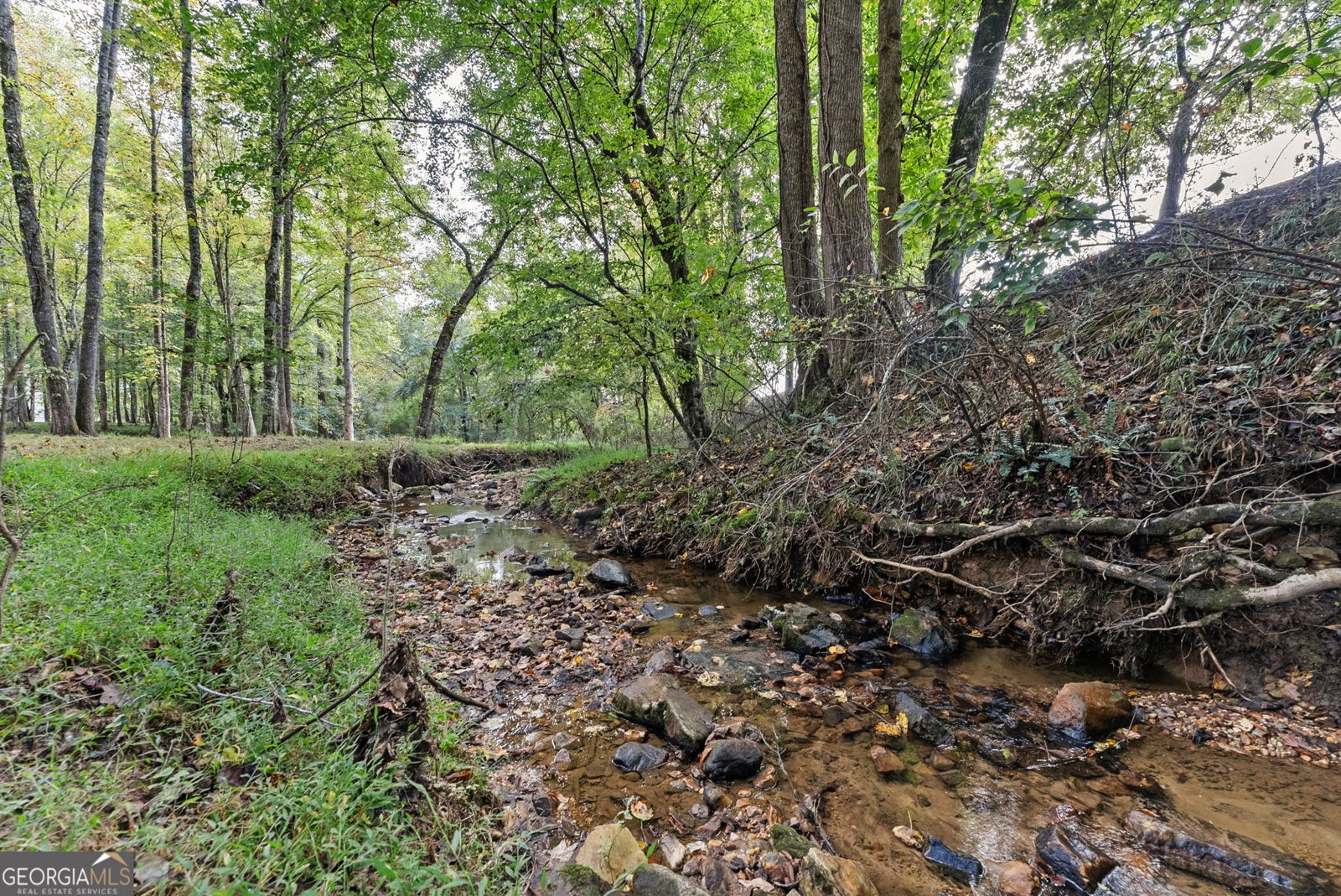 252 Yonah Way Blairsville - Photo 46