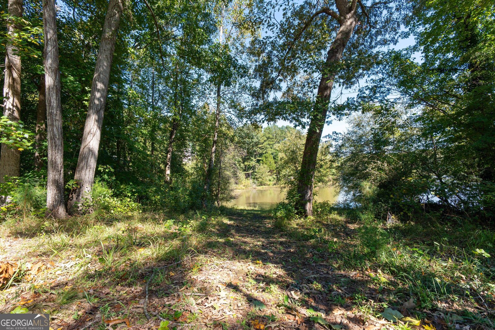 1165 Home Place Drive Lawrenceville - Photo 69